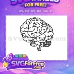 Free Brain Outline Vector Free Black Line Art Anatomy Illustration Free SVG - Instant Download