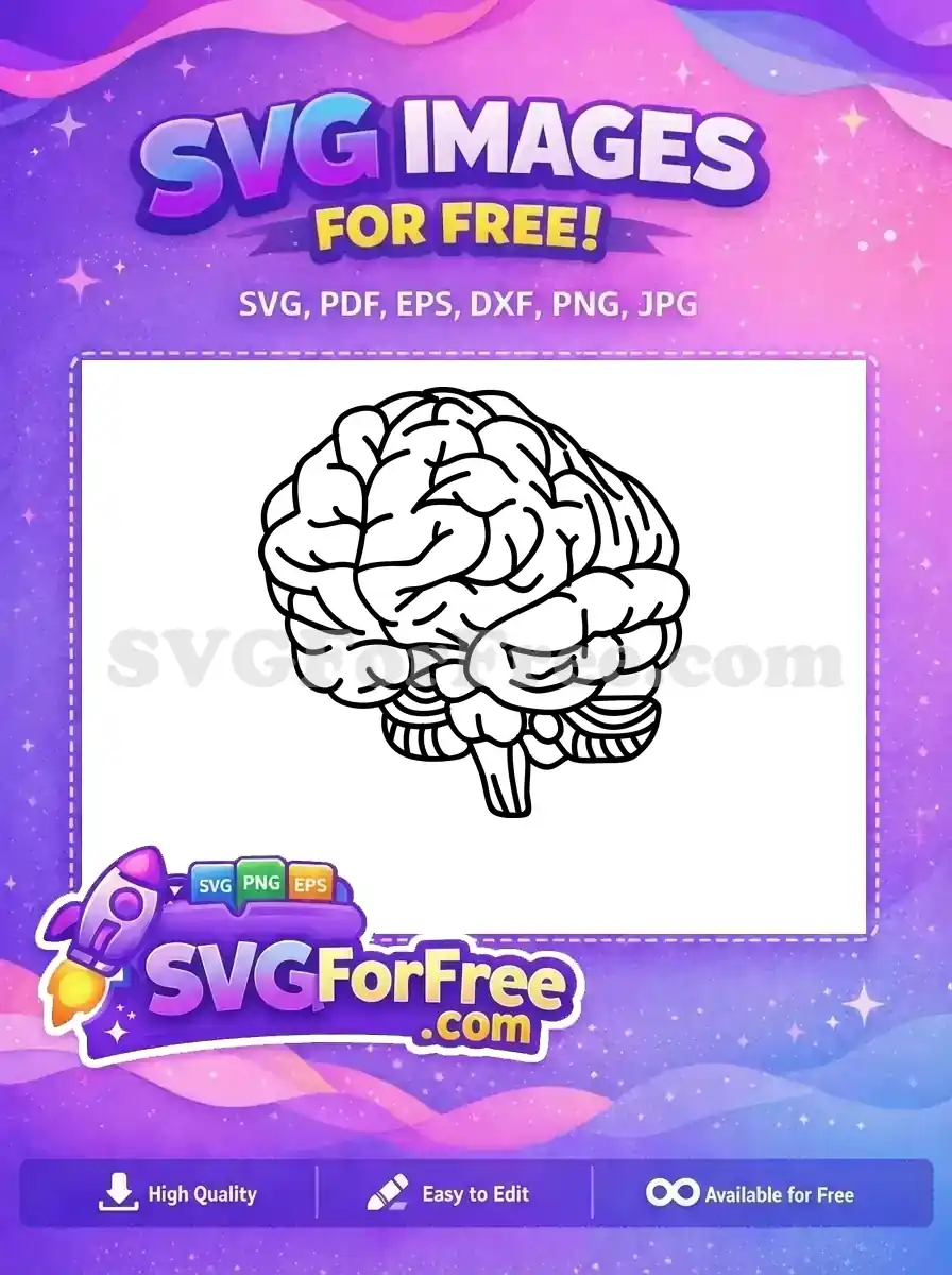 Discover this free brain outline SVG, a clear and detailed anatomical illustration. Ideal for learning and creative free projects.