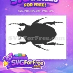 Free Detailed Beetle Silhouette Free Spiky Legs Insect Bugs Silhouette Free SVG - Instant Download