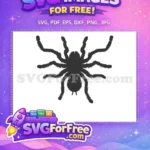 Free Hairy Tarantula Silhouette Free Creepy Crawler Bug Halloween Free SVG - Instant Download