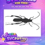 Free Longhorn Beetle Silhouette Free Hairy Legs Insect Design Free SVG - Instant Download