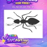 Free Black Ant Silhouette Top View Free Detailed Insect A Bug's Life Free SVG - Instant Download