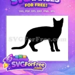 Free Black Cat Silhouette Free Standing Pose Outline Cat Lovers Design Free SVG - Instant Download