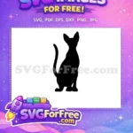 Free Black Cat Silhouette Free Sitting Pose Cat Lovers Free SVG 1 - Instant Download