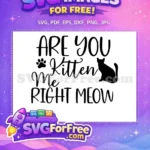 Free Are You Kitten Me Free Cat Silhouette Funny Quote Free SVG - Instant Download