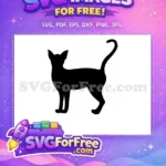 Free Black Cat Silhouette Free Sitting Cat Outline Design Free SVG 1 - Instant Download