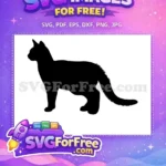 Free Standing Black Cat Free Fluffy Furry Tail Cat Silhouette Free SVG - Instant Download