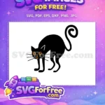 Free Scared Black Cat Free Bright Orange Eyes Halloween Free SVG - Instant Download