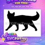 Free Walking Black Cat Silhouette Free Fluffy Tail Up Pet Free SVG - Instant Download