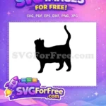 Free Black Cat Standing Free Tail Up Curious Pose Feline Animal Design Free SVG - Instant Download