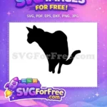 Free Black Cat Crouching Free Looking Back Pose Feline Pet Design Free SVG - Instant Download