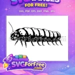 Free Black Spotted Caterpillar Free Segmented Body Insect Life Free SVG - Instant Download