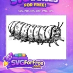 Free Wide-Eyed Black Caterpillar Free Vintage Drawing Storybook Free SVG - Instant Download