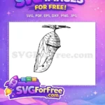 Free Hanging Chrysalis Outline Free Butterfly Metamorphosis Caterpillar Free SVG - Instant Download