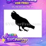 Free pecking black hen Free foraging barnyard bird farm life Free SVG - Instant Download