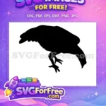 Free pecking chicken Free detailed farm bird silhouette farmyard Free SVG - Instant Download