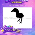 Free small chick Free fluffy silhouette farm animal Free SVG - Instant Download
