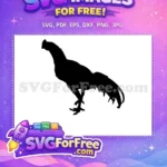 Free Black Rooster Silhouette Free Farm Animal Chicken Design Free SVG - Instant Download