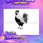 Free Standing Rooster Silhouette Free Black Farm Animal Chicken Free SVG 3 - Instant Download