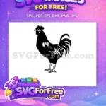 Free Black Rooster Silhouette Free Farm Animal Chicken Free SVG - Instant Download