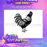 Free Standing Rooster Silhouette Free Detailed Feathers Farmhouse Chicken Free SVG - Instant Download