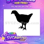 Free Standing Chicken Silhouette Free Black Farm Animal Free SVG - Instant Download