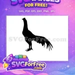 Free Standing Rooster Silhouette Free Long Feather Tail Farm Animal Free SVG - Instant Download