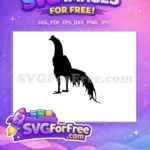 Free Black Rooster Silhouette Free Long Tail Feathers Farm Animal Free SVG - Instant Download