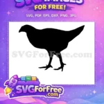 Free Black Chicken Silhouette Free Farm Animal Graphic Farm Life Free SVG - Instant Download