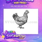 Free Detailed Black White Free Proud Farm Chicken Silhouette Free SVG - Instant Download
