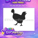 Free Chicken Silhouette Free Farm Animal Digital Craft Art Free SVG - Instant Download