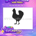 Free black hen profile Free rustic farm animal farm life Free SVG - Instant Download