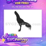 Free Black Rooster Silhouette Free Proud Standing Pose Farm Animal Free SVG - Instant Download