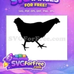 Free Black Silhouette Free Walking Hen Farm Animal Free SVG - Instant Download