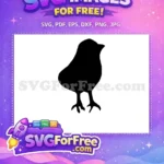 Free Cute Chick Free Black Farm Outline Easter Decor Free SVG - Instant Download