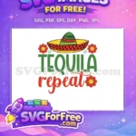 Free Colorful Sombrero Free Tequila Floral Repeat Cinco Free SVG - Instant Download