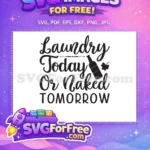 Free Laundry Free Bottle Shamrock Funny Quote Free SVG - Instant Download