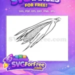Free Peeled Corn Cob Free Detailed Kernels Simple Outline Silhouette Free SVG - Instant Download