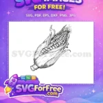 Free black white Free rustic drawing Corn Silhouette Free SVG - Instant Download