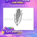 Free black outline cob Free harvest vegetable Corn Free SVG - Instant Download