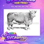 Free Vintage Engraving Style Free Detailed Farm Livestock Cow Bull Free SVG - Instant Download