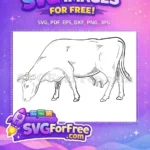Free Grazing Udder Free Lineart Cow Bull SVG Free SVG - Instant Download