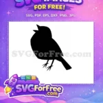 Free Flying Black Free Spooky Dark Crow Silhouette Free SVG - Instant Download