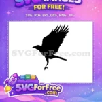 Free Flying Black Crow Free Wings Spread Crow Silhouette Free SVG - Instant Download