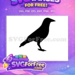 Free Black Crow Free Standing Silhouette Dark Nature Free SVG - Instant Download