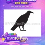 Free Black Crow Free Silhouette Art Halloween Free SVG - Instant Download