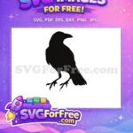 Free Black Crow Free Detailed Silhouette Spooky Art Free SVG - Instant Download