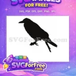 Free Black Crow Silhouette Free Spooky Raven Gothic Free SVG - Instant Download