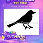 Free Ominous Black Bird Free Spooky Halloween Crow Silhouette Free SVG - Instant Download