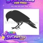 Free Dark Perched Crow Free Sharp Clawed Bird Art Free SVG - Instant Download
